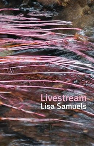Livestream Livestream