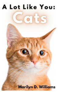 A Lot Like You: Cats A Lot Like You: Cats