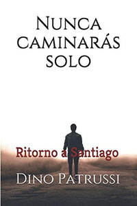 Nunca caminaras solo: Ritorno a Santiago (Italian Edition) Nunca caminaras solo: Ritorno a Santiago (Italian Edition)