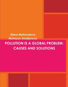 Pollution Is a Global Problem: Causes and Solutions