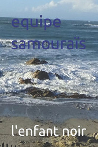 equipe samouraïs (voyou) (French Edition) equipe samouraïs (voyou) (French Edition)