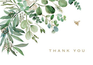 Eucalyptus Thank You Note Cards (14 cards, 15 self-sealing envelopes) Eucalyptus Thank You Note Cards (14 cards, 15 self-sealing envelopes)