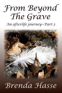 From Beyond The Grave: An afterlife journey ~ Part 2 (2)