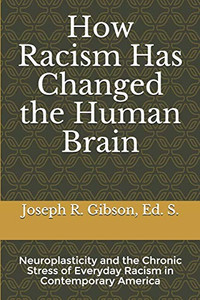 How Racism Has Changed the Human Brain: Neuroplasticity and the Chronic Stress of Everyday Racism in Contemporary America