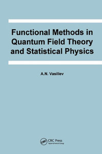 Functional Methods in Quantum Field Theory and Statistical Physics (Frontiers in Physics)