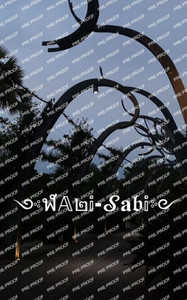 Wabi-Sabi Wabi-Sabi