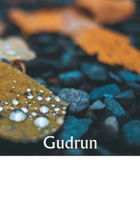 Gudrun (German Edition) Gudrun (German Edition)