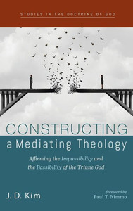 Constructing A Mediating Theology (Studies In The Doctrine Of God)