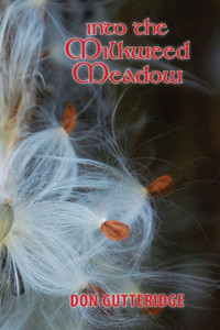 Into The Milkweed Meadow Into The Milkweed Meadow