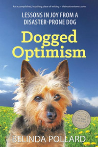 Dogged Optimism: Lessons In Joy From A Disaster-Prone Dog Dogged Optimism: Lessons In Joy From A Disaster-Prone Dog