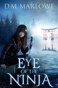 Eye Of The Ninja (Eye Of The Ninja Chronicles)