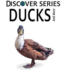 Ducks (Discover) Ducks (Discover)