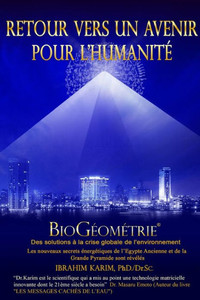 Retour Vers Un Avenir Pour L'Humanité: Biogéométrie (French Edition) Retour Vers Un Avenir Pour L'Humanité: Biogéométrie (French Edition)