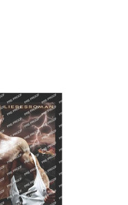 Bergdrache: Ein Paranormaler Liebesroman (Drachen-Milliardärsimperium) (German Edition)