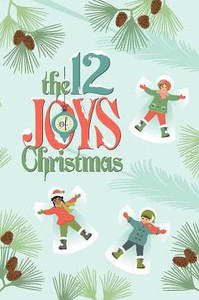 The 12 Joys Of Christmas (Mini Book)