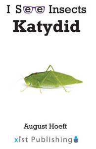 Katydid (I See Insects) Katydid (I See Insects)