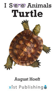 Turtle (I See Animals) Turtle (I See Animals)