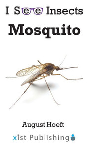 Mosquito (I See Insects)