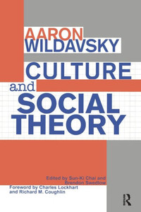 Culture And Social Theory Culture And Social Theory