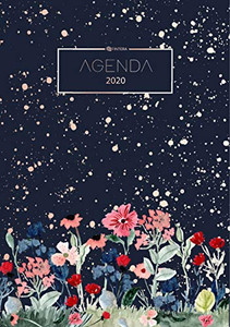 Agenda 2020 - Agenda de Poche et Planificateur 2020 - Organiseur et Calendrier 2020 - Agenda Journalier et Agenda Semainier (BOOKS ON DEMAND) (French Edition)