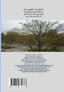 Naraznhhona: Fayaz (Urdu Edition) Naraznhhona: Fayaz (Urdu Edition)