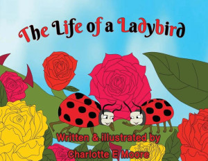 The Life Of A Ladybird