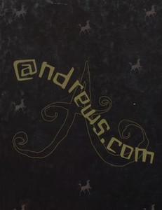 Andrews High School 2001 Yearbook