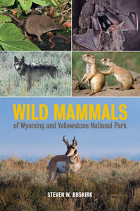 Wild Mammals Of Wyoming And Yellowstone National Park Wild Mammals Of Wyoming And Yellowstone National Park