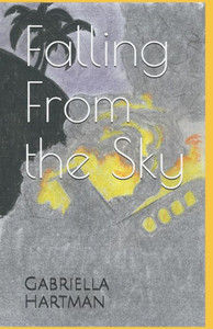Falling From The Sky Falling From The Sky