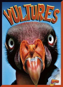 Vultures (Birds Of Prey) Vultures (Birds Of Prey)