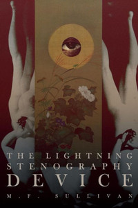The Lightning Stenography Device The Lightning Stenography Device