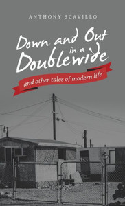 Down And Out In A Doublewide And Other Tales Of Modern Life