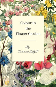 Colour In The Flower Garden