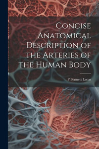Concise Anatomical Description Of The Arteries Of The Human Body