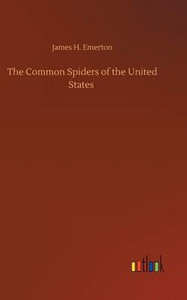 The Common Spiders Of The United States