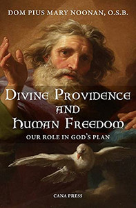 Divine Providence And Human Freedom: Our Role In God'S Plan Divine Providence And Human Freedom: Our Role In God'S Plan