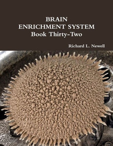 Brain Enrichment System Book Thirty-Two