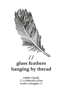 Glass Feathers Hanging By Thread