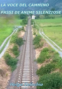 La Voce Del Cammino Passi Di Anime Silenziose (Italian Edition)