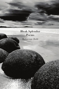 Bleak Splendor Bleak Splendor