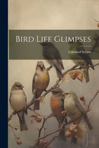 Bird Life Glimpses Bird Life Glimpses