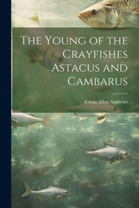 The Young Of The Crayfishes Astacus And Cambarus