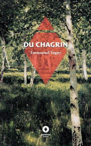 Du Chagrin (French Edition)