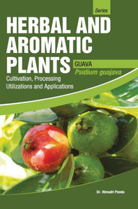 HERBAL AND AROMATIC PLANTS - Psidium Guajava (GUAVA) HERBAL AND AROMATIC PLANTS - Psidium Guajava (GUAVA)