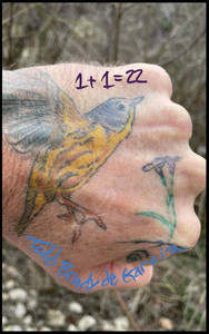 1+1= 22 : The Math of God