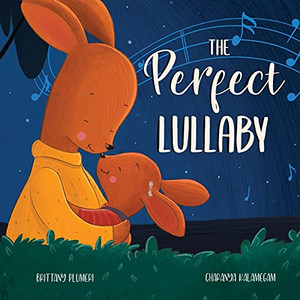 The Perfect Lullaby (Paperback)