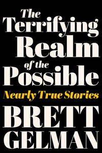 The Terrifying Realm of the Possible : Nearly True Stories
