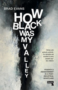 How Black Was My Valley : Poverty and Abandonment in a Post-Industrial Heartland
