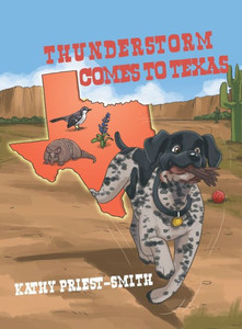 Thunderstorm Comes to Texas