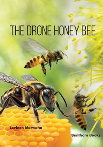 The Drone Honey Bee The Drone Honey Bee
